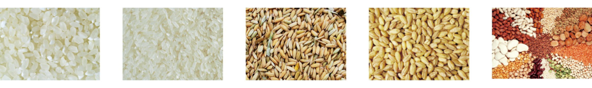 Système de pesage et d'emballage Weighing and packaging system