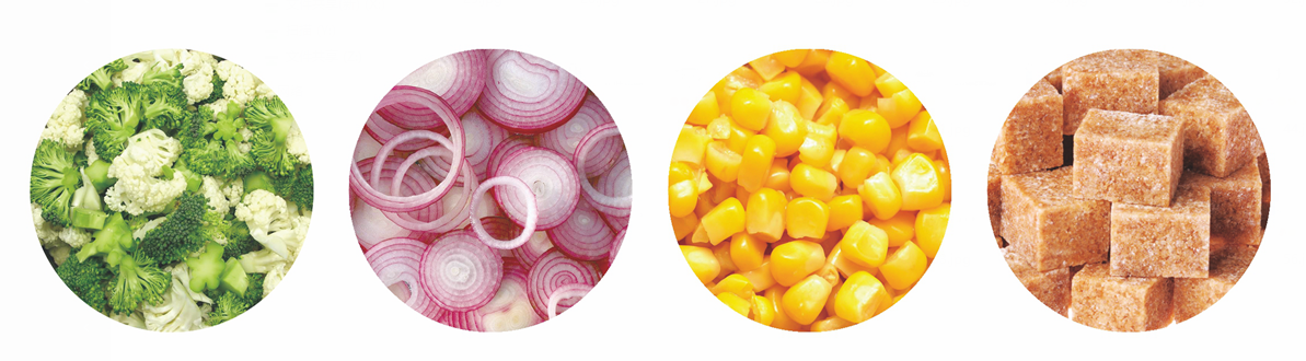 Ленточные весы с одной головкой Single head belt weigher